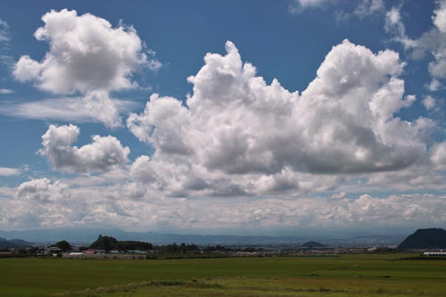 b082d737.jpg