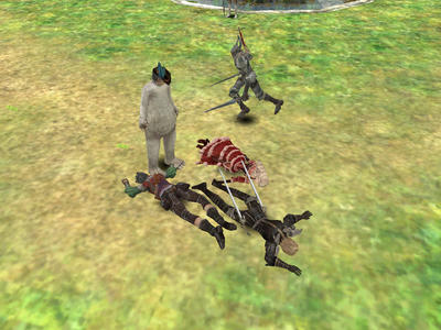 capture_00011.jpg
