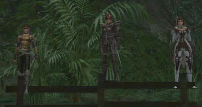 capture_00013.jpg