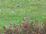 DSCN9228.JPG