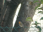 DSCN9590.JPG