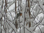 DSCN0014.JPG