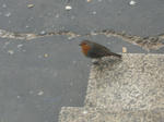 DSCN0019.JPG