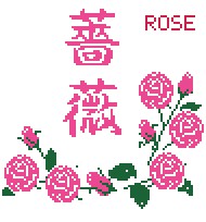 017 JP rose 薔薇