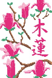木蓮・・・magnolia