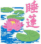 睡蓮（花）