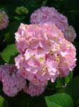 DSCN1290.JPG