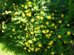 DSCN1293.JPG