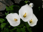 DSCN1298.JPG