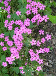 DSCN1301.JPG