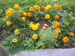 DSCN1303.JPG