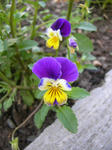 DSCN1304.JPG
