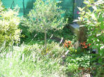 DSCN1273.JPG
