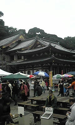 081108_1538~01.JPG