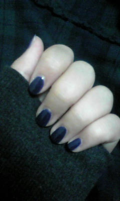 081109_2049~01.JPG