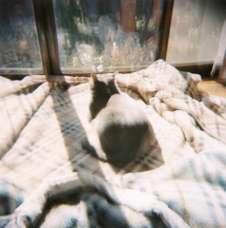 Scan10001.JPG