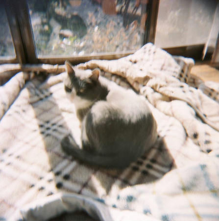 Scan10002.JPG