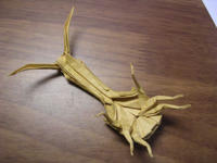higenaga-oto_2.jpg