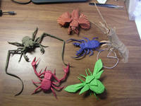 Arthropoda.jpg