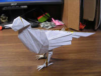 bird09jan.jpg