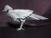 bird2009_1.jpg