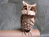 owl3_1.jpg