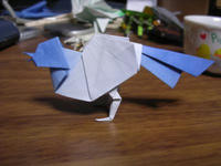 s-bird_2.jpg