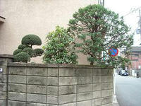 DSCN0240x.JPG