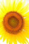 DPP_0002422s.jpg
