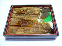 DSCN0048b.JPG