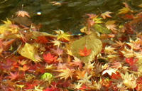 DPP_0002751.JPG