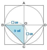hon2-304.JPG