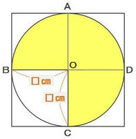 hon2-305.JPG