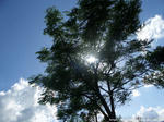 20070902_3.jpg