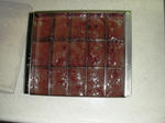 SANY0001.JPG