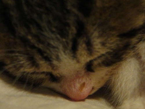 Zzzzz