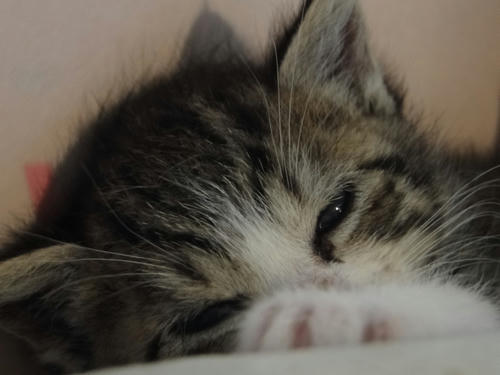 まったり