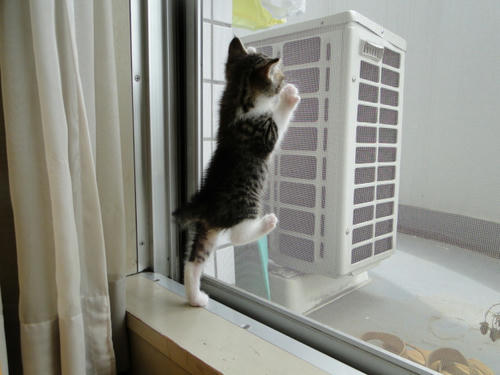 よじのぼりっ