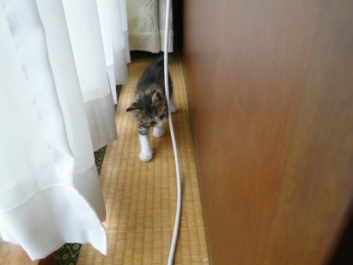 机の裏