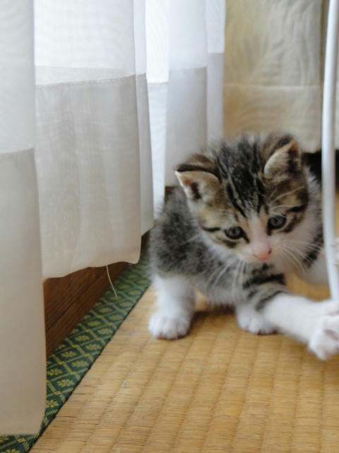 おやっ！？