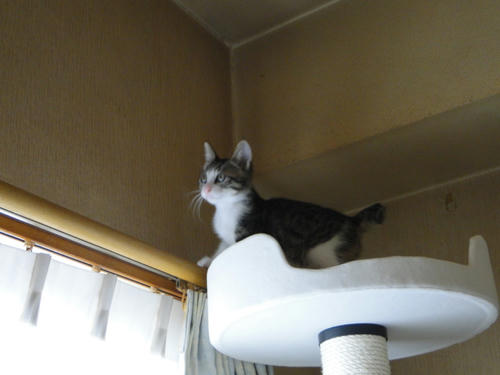 るんるん♪