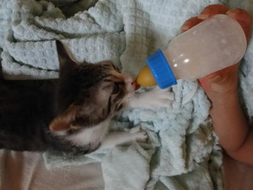 ごくごく・・・