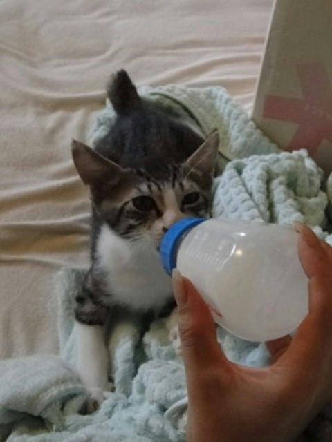 うまうま・・・