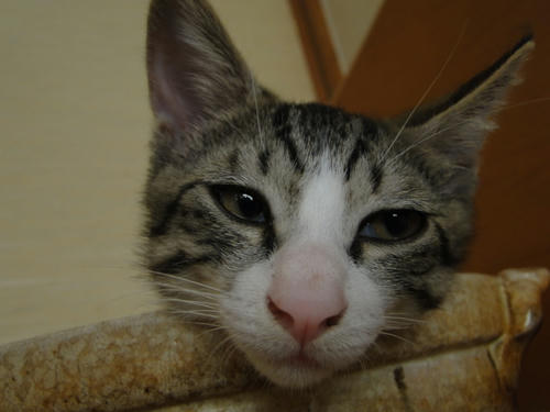 ・・・・・