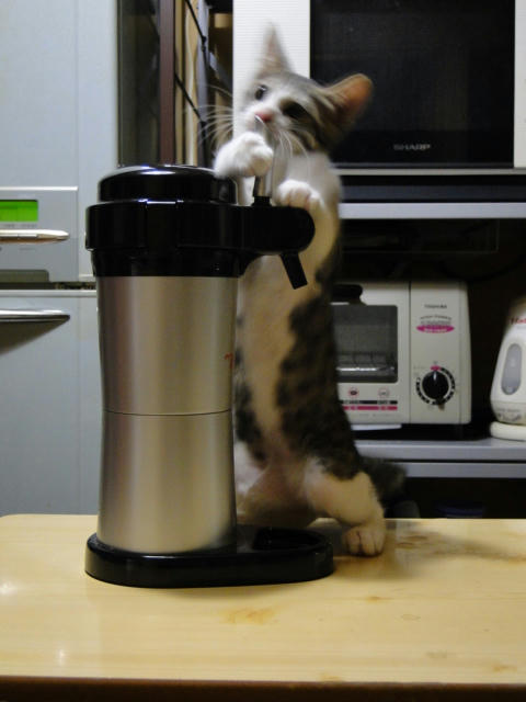 ウィーーーン