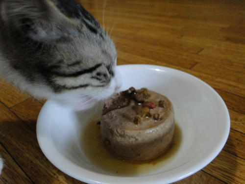 ぱくっ