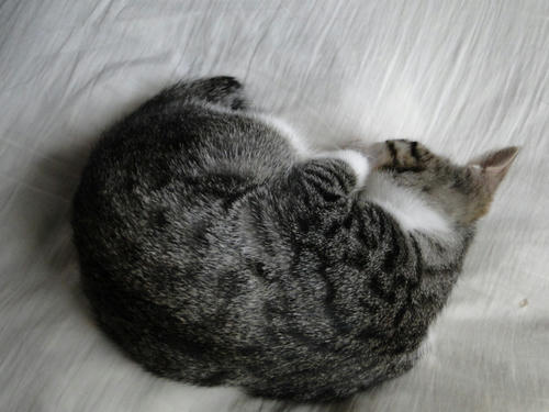 Zzz..
