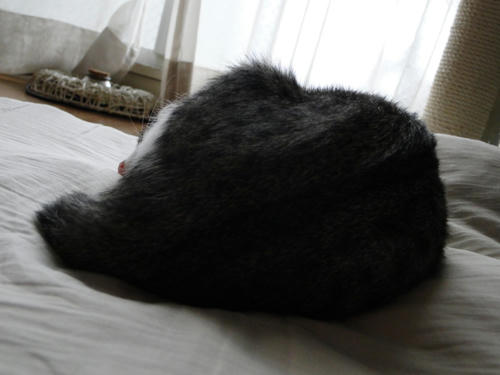 おしり♪