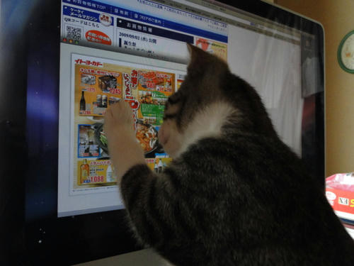 あらおいしそう！