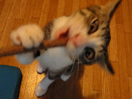 たまらんわ～～～～～～